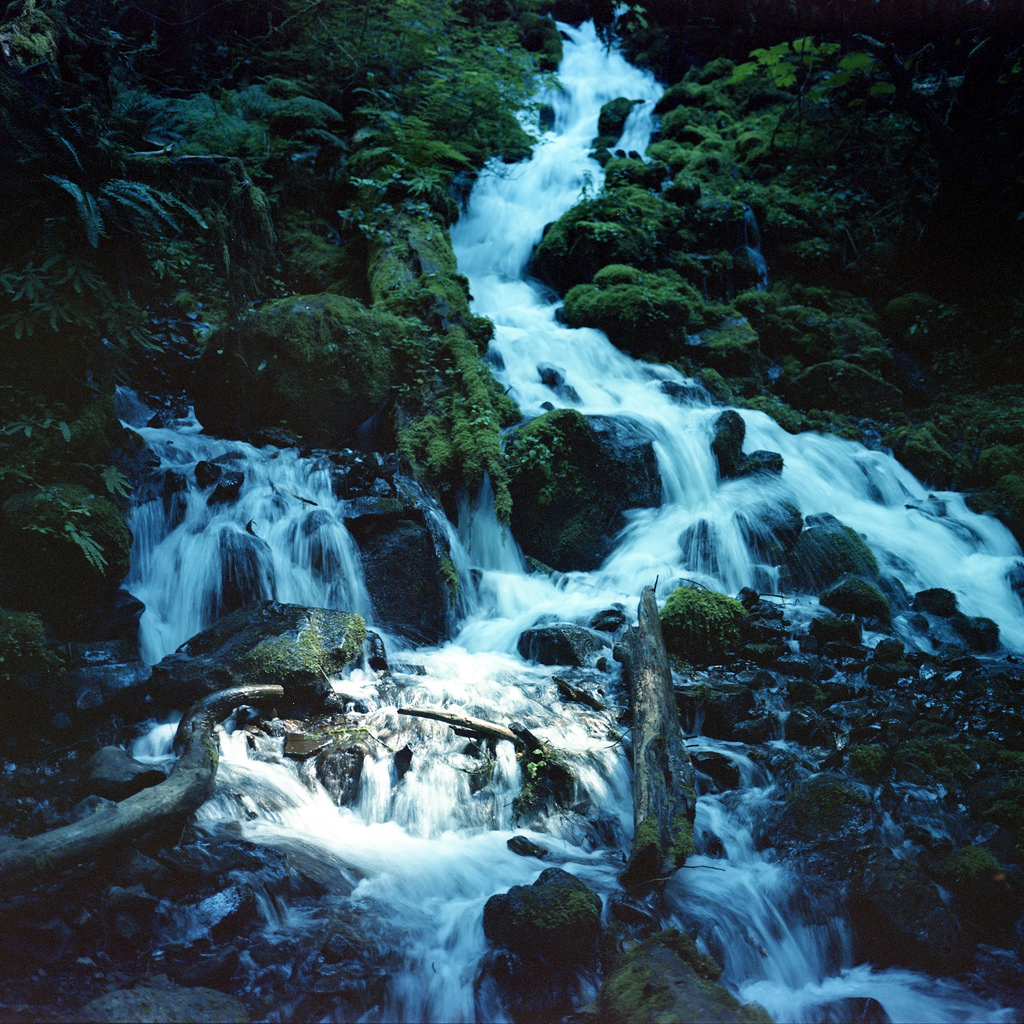 Portland, OR and the Pacific&nbsp;Northwest