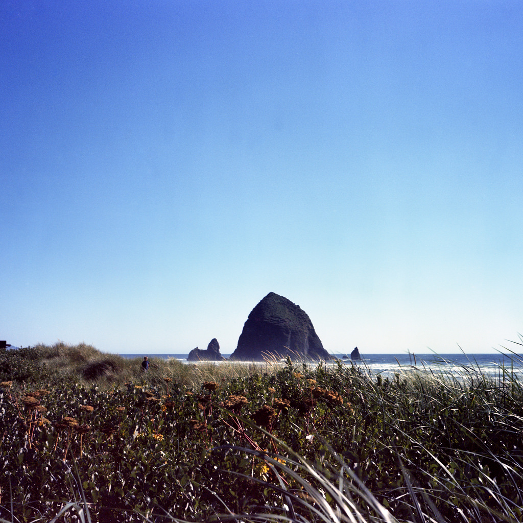 29215453125_390c89af95_b