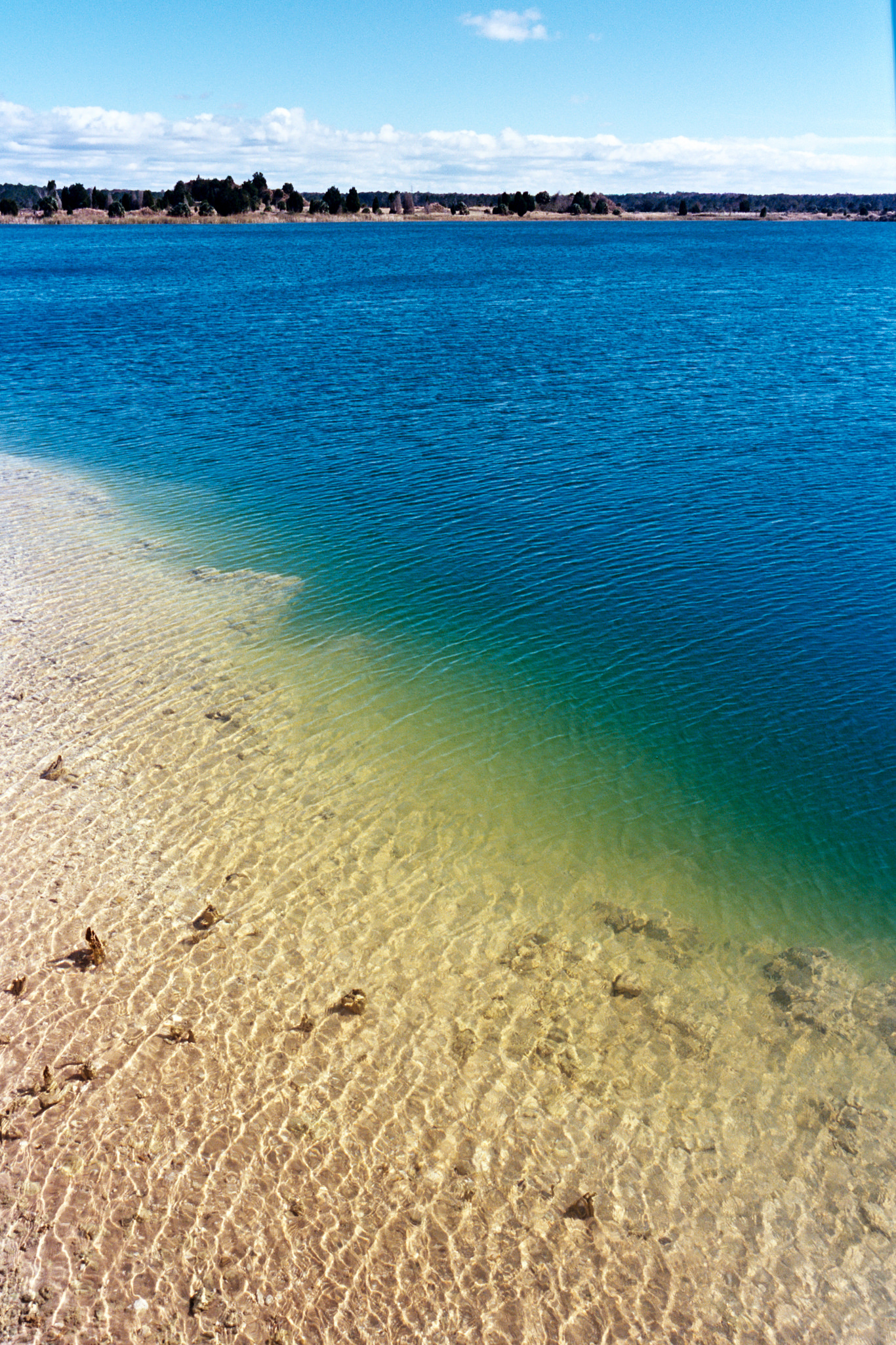 24155569204_75b34aca0c_k