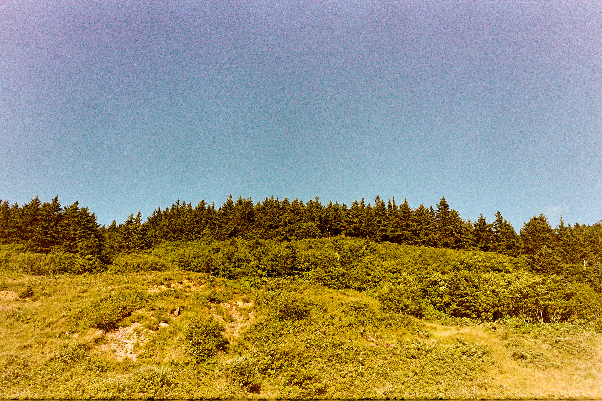 28101726886_308bea76a6_k