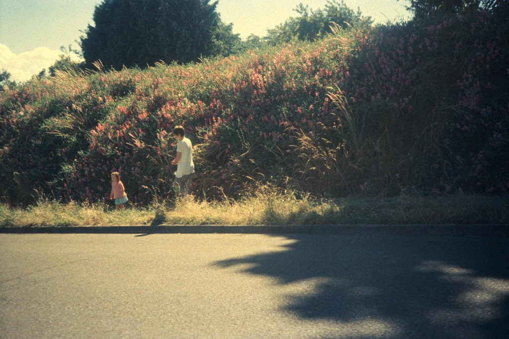 E6: First Development