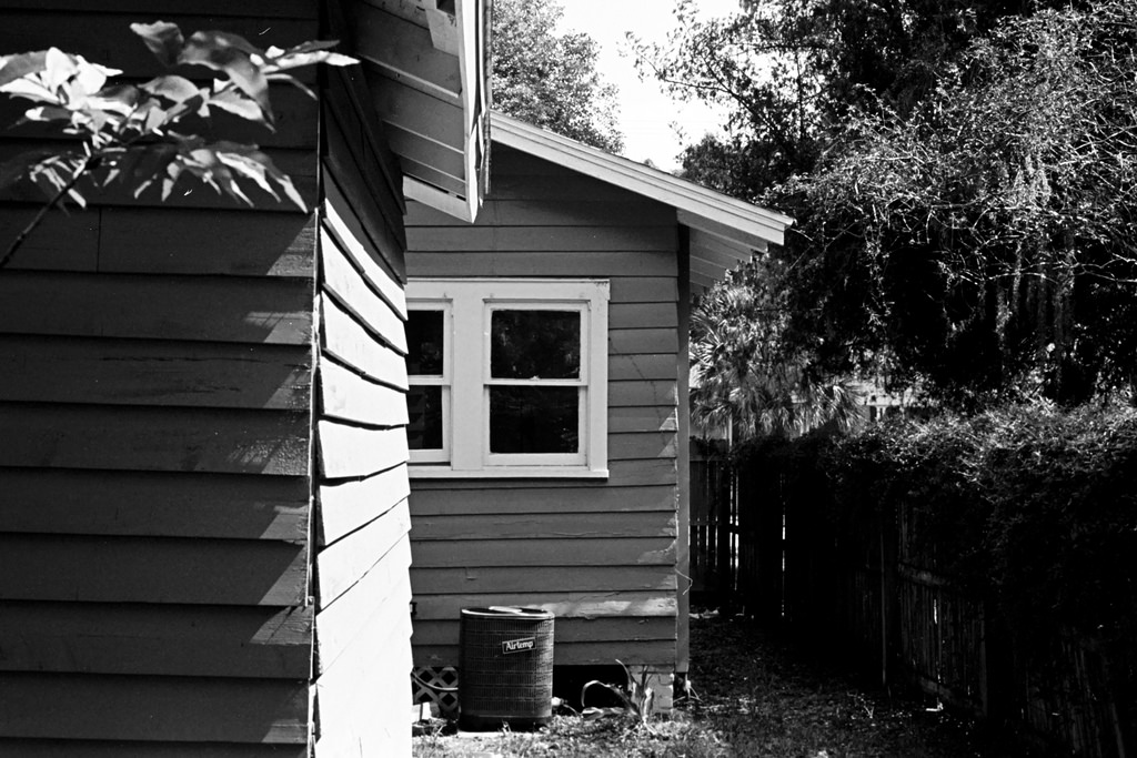 Developed Roll: Leica CL // TMax&nbsp;400