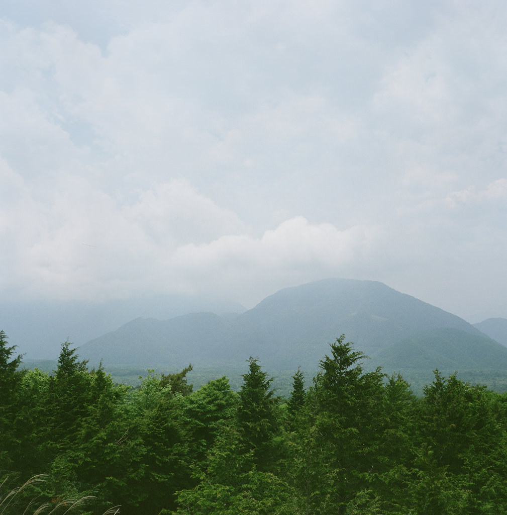 Mount Fuji &&nbsp;Aokigahara