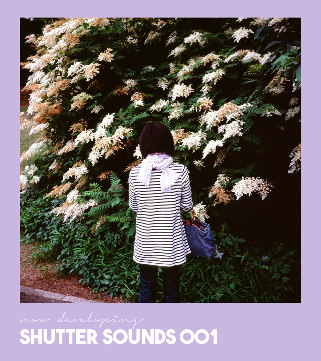 Shutter Sounds: 001