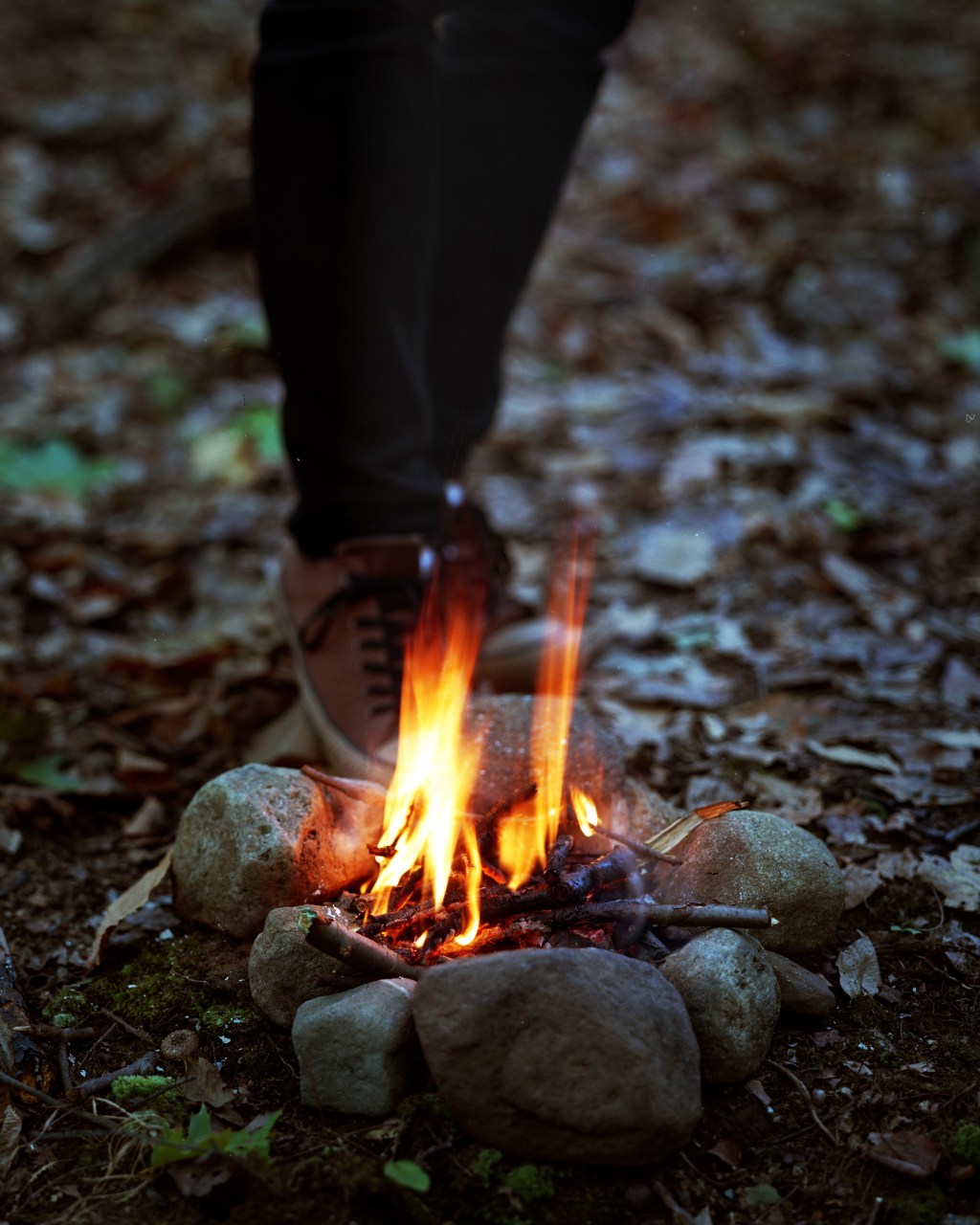 Reader Excerpts: Found and&nbsp;Lost