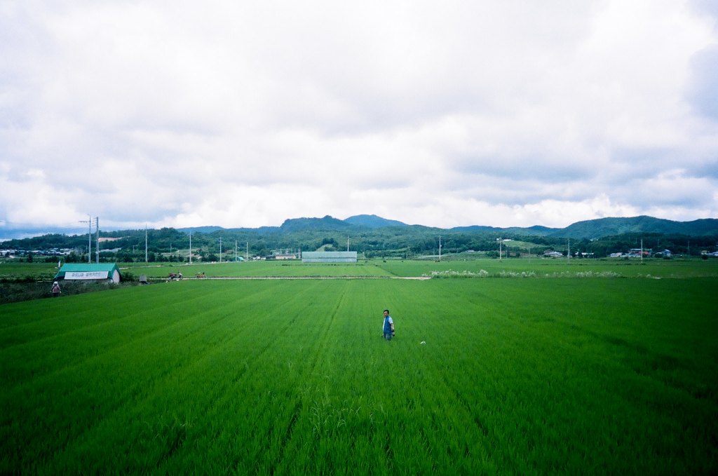 To Seoul, in the&nbsp;Saddle