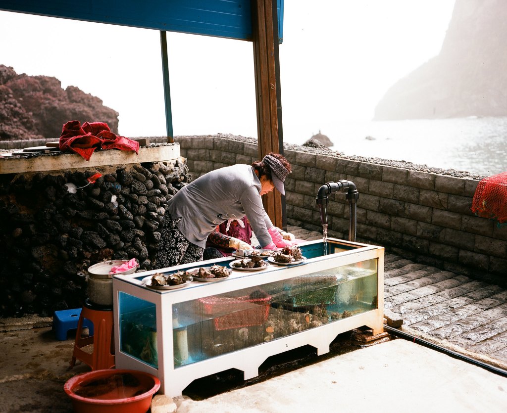 동 제주 || East&nbsp;Jeju