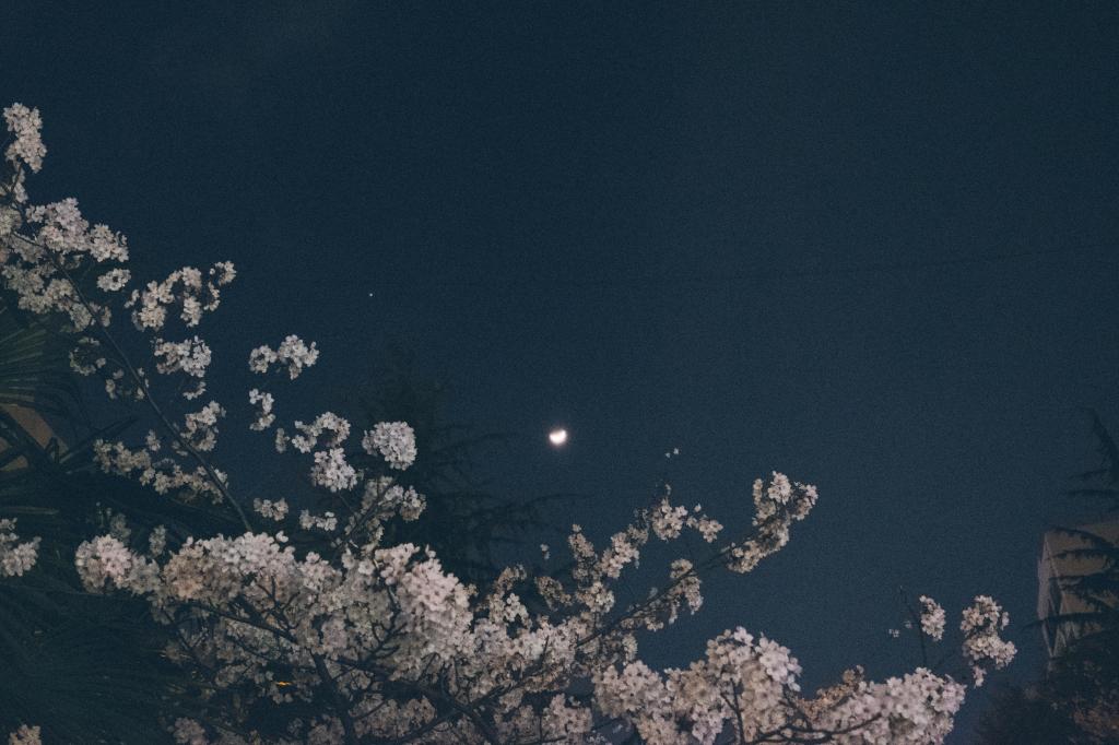 i stood alone in the darkness. light does not illuminate. it only looks for things to illuminate. and i had never been found by the light. i would always be in&nbsp;darkness