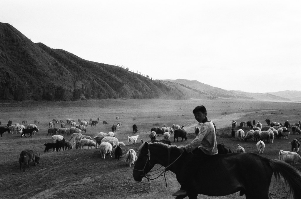 Түнхэл Монгол Улс